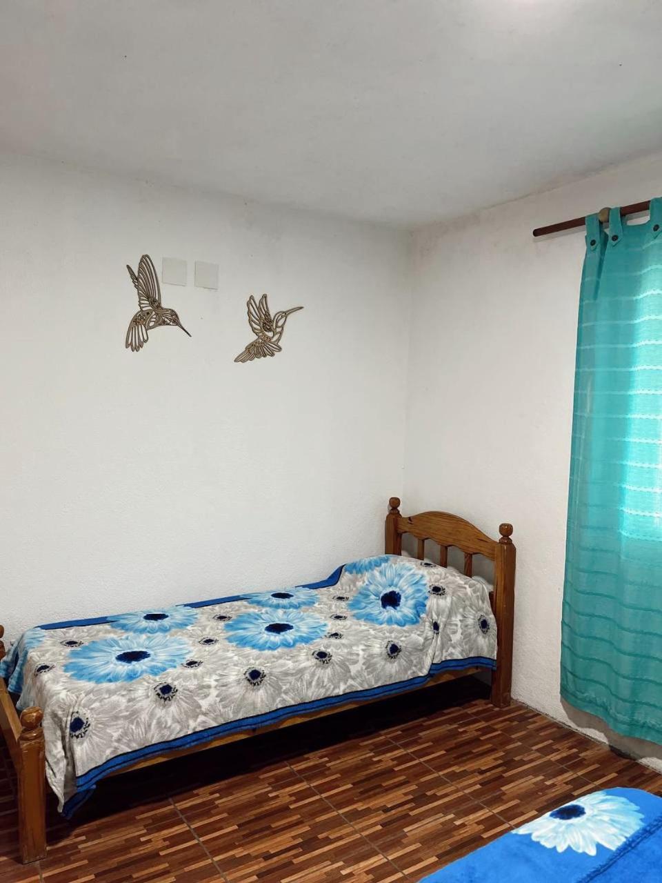 Villa La Isolina 빌라 지아르디노 외부 사진